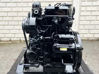 Dieselmotor Iseki E262 - 163890 (2)