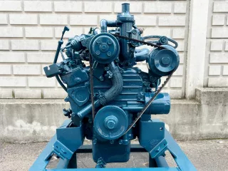 Dieselmotor Kubota Z482-C-2 - 2N1882 (3)